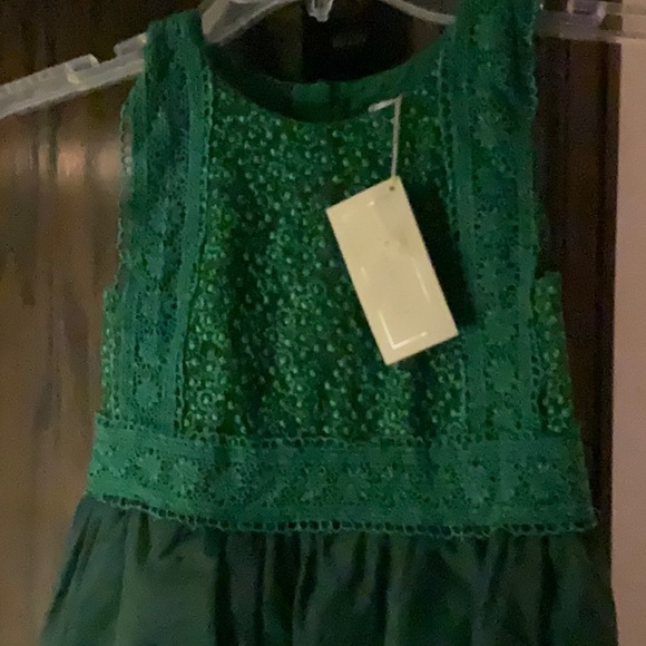 NWT Trish Scully emerald delphine high low dress - Picture 4 of 7